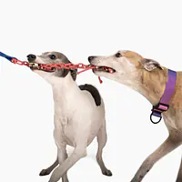 Rope toy "Lilac AF" - Master