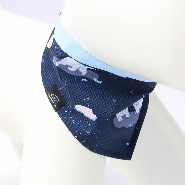 Bandana "Polar pattern" - Master