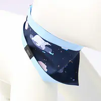 Bandana "Polar pattern" - Master