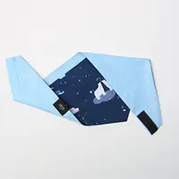 Bandana "Polar pattern" - Master