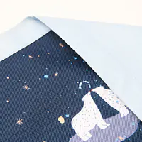 Bandana "Polar pattern" - Master