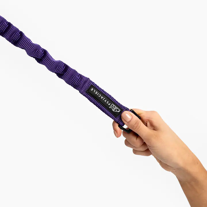 Amortyzator "Purple AF" - Master