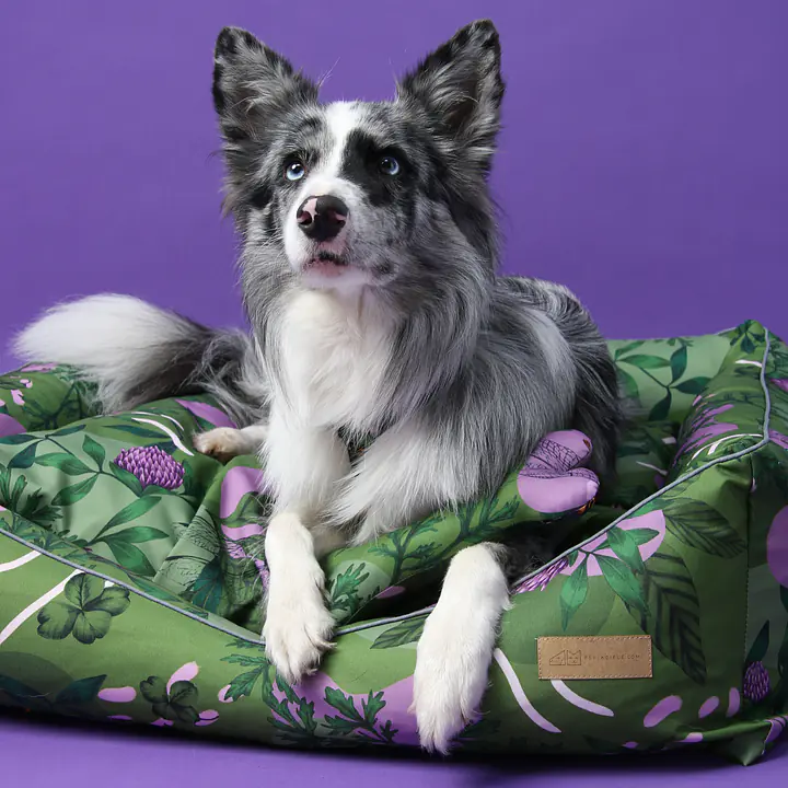 Kanapa "Bug off" - Master