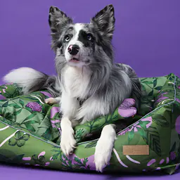 Kanapa "Bug off" - Master