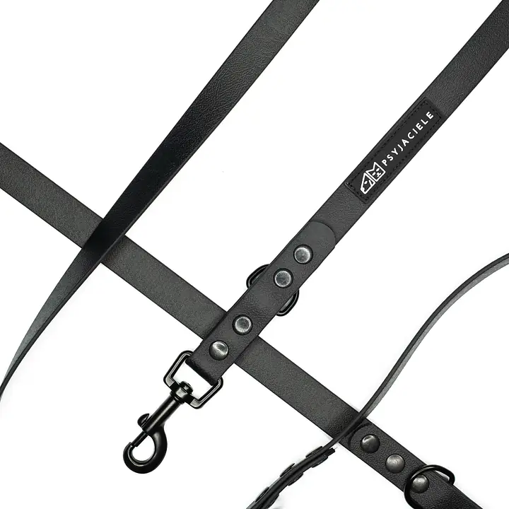 Smycz przepinana Biothane® - Size: M, Width: 16mm, and kolor taśmy: Black