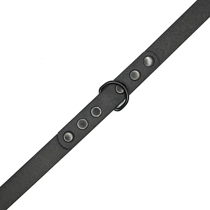 Smycz przepinana Biothane® - Size: M, Width: 16mm, and kolor taśmy: Black