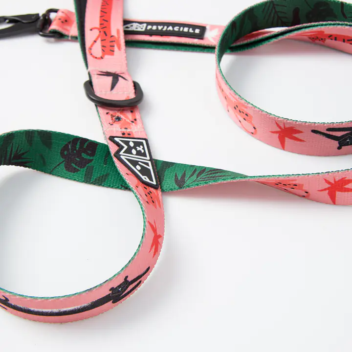 WYPRZEDAŻ Smycz miejska dla psa lub kota "Pantera przyszedł do jungli RÓŻ" - Master