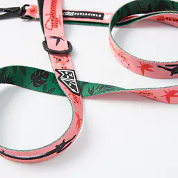 WYPRZEDAŻ Smycz miejska dla psa lub kota "Pantera przyszedł do jungli RÓŻ" - Master