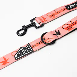 WYPRZEDAŻ Smycz miejska dla psa lub kota "Pantera przyszedł do jungli RÓŻ" - Master