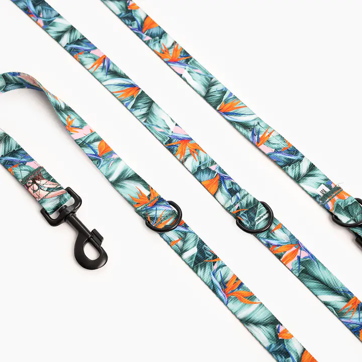 WYPRZEDAŻ Smycz przepinana dla psa lub kota "Mokry sen kury" - Master