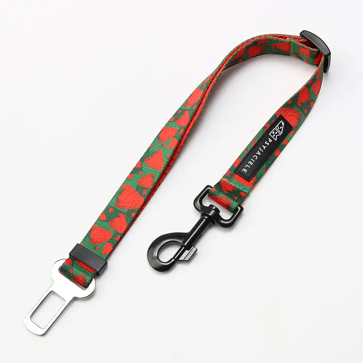 "Strawberry Fields Forever" car belts - Master