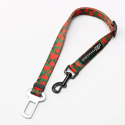"Strawberry Fields Forever" car belts - Master