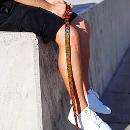 "Strawberry Fields Forever" city leash - Master