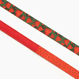 "Strawberry Fields Forever" city leash - Master