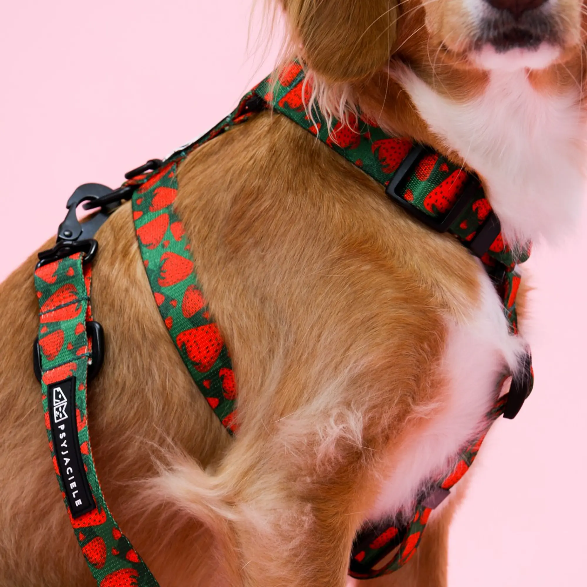 "Strawberry Fields Forever" dog or cat harness - Master