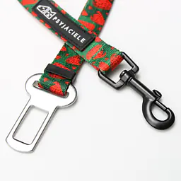 "Strawberry Fields Forever" car belts - Master