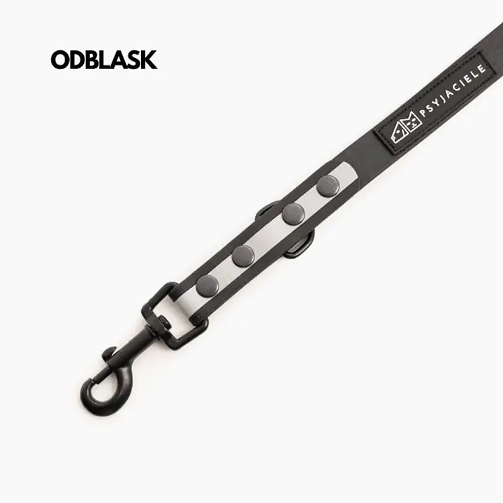 Smycz dla 2 psów BioThane® - Master