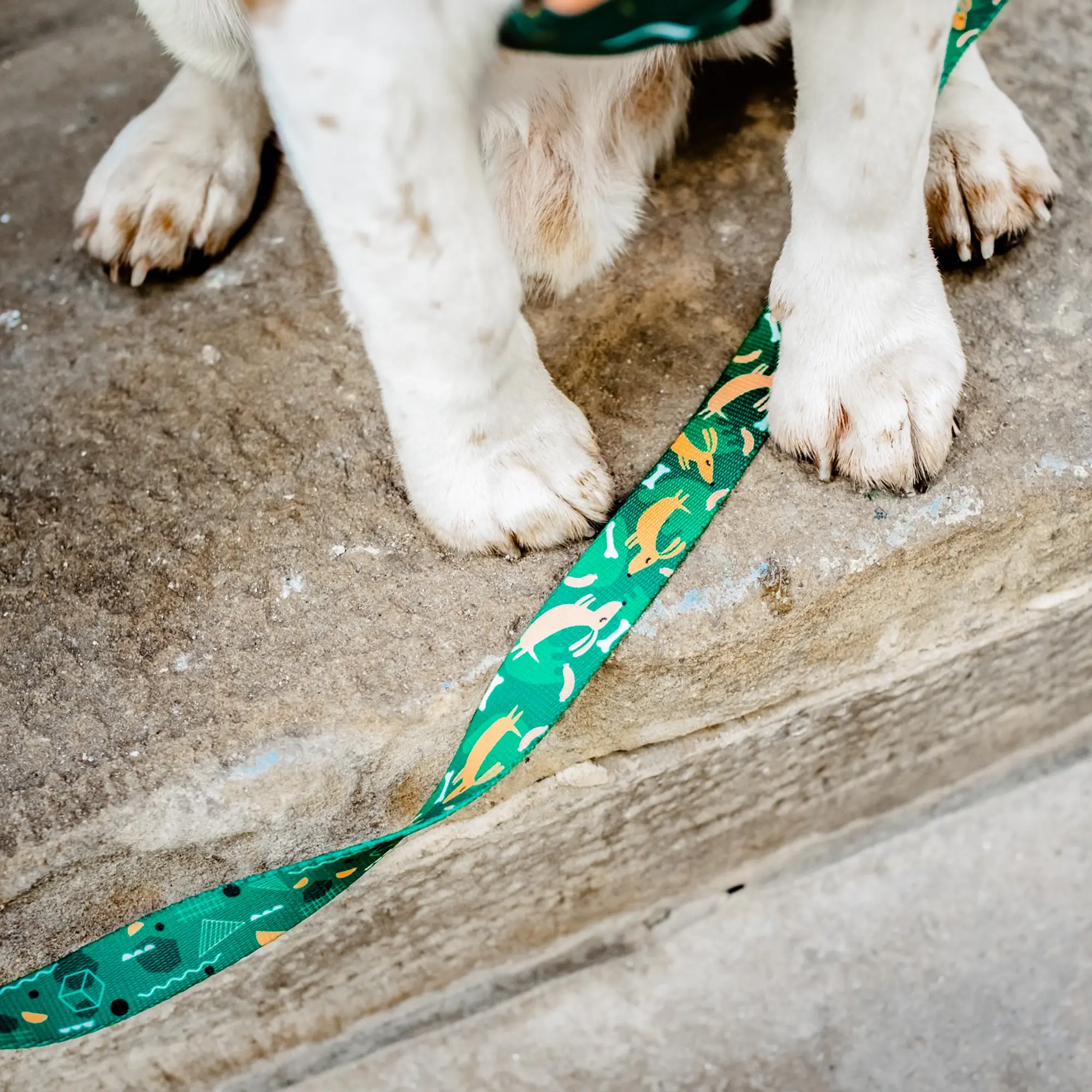 COPY OF Adjustable leash "Sleepy dogs" - Master