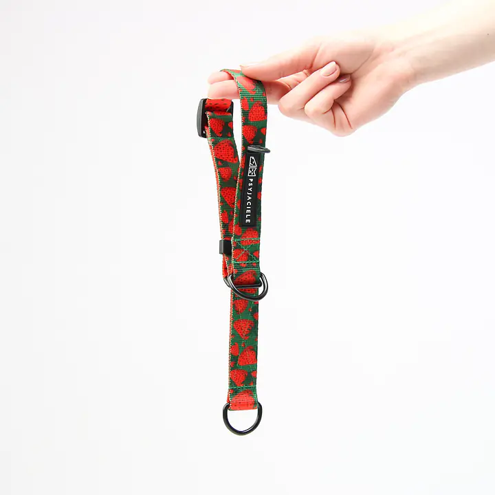 Half-clamp collar "Strawberry Fields Forever" - Master