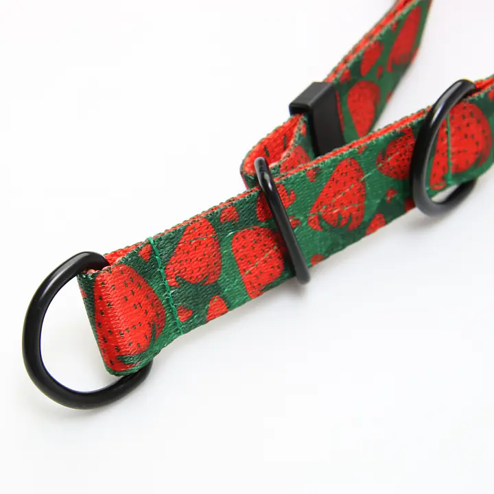 Half-clamp collar "Strawberry Fields Forever" - Master