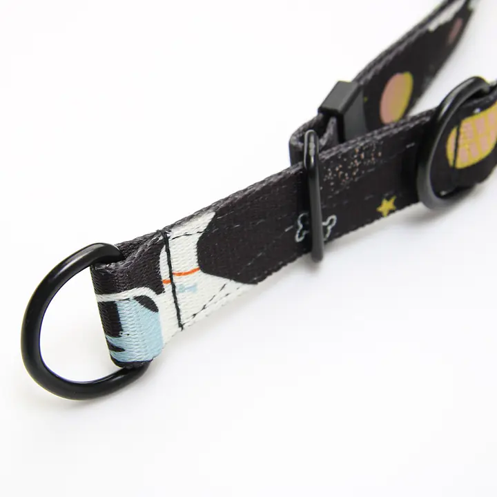 Obroża półzaciskowa dla psa lub kota "I need space" - Master