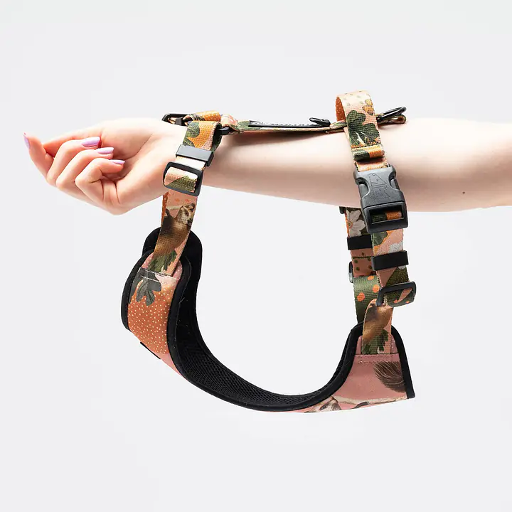 Pressures-free guard harness in size for bulldogs   - Pattern: Play with my nuts
