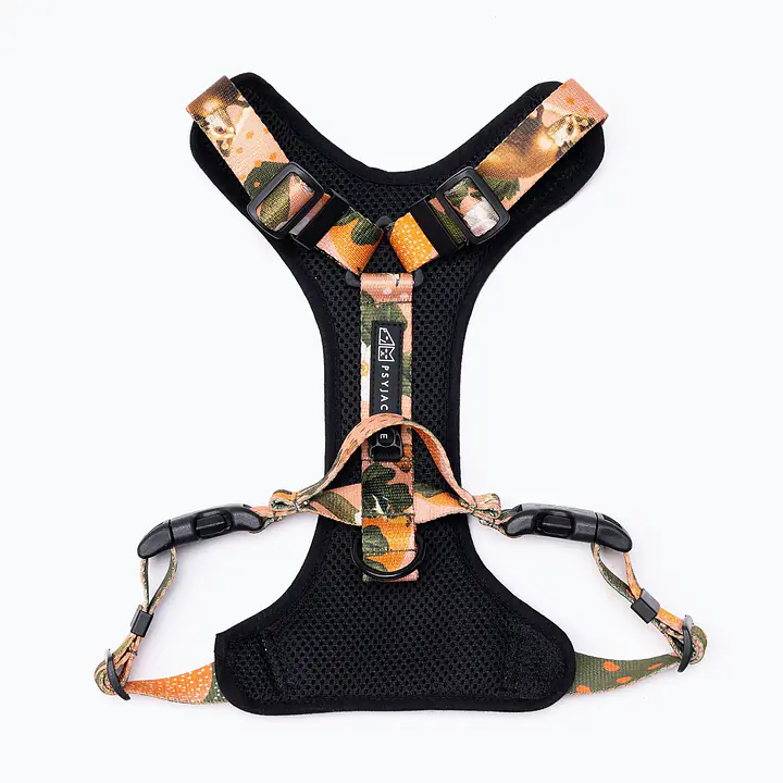 Pressures-free guard harness in size for bulldogs   - Pattern: Play with my nuts