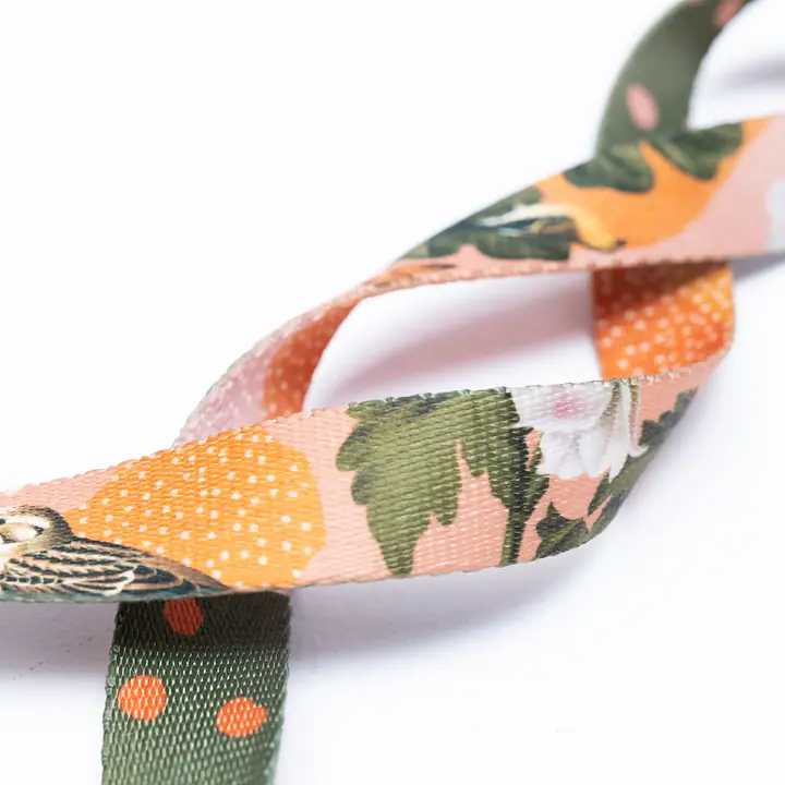 Pressures-free guard harness in size for bulldogs   - Pattern: Play with my nuts