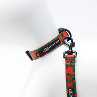 Dog or cat collar "Strawberry Fields Forever" - Master