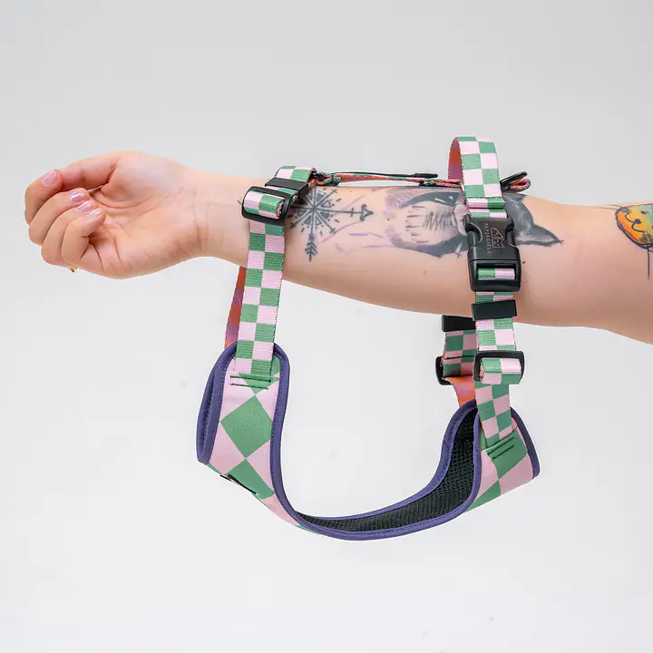 Pressures-free guard harness in size for bulldogs   - Pattern: Świat zza krat taki kolorowy