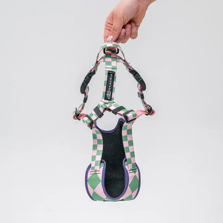 Pressures-free guard harness in size for bulldogs   - Pattern: Świat zza krat taki kolorowy