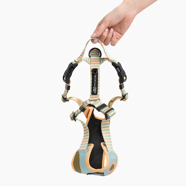 Pressures-free guard harness in size for bulldogs   - Pattern: Piesss
