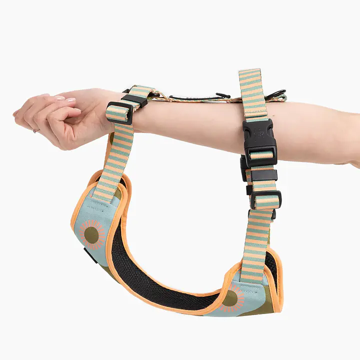 Pressures-free guard harness in size for bulldogs   - Pattern: Piesss