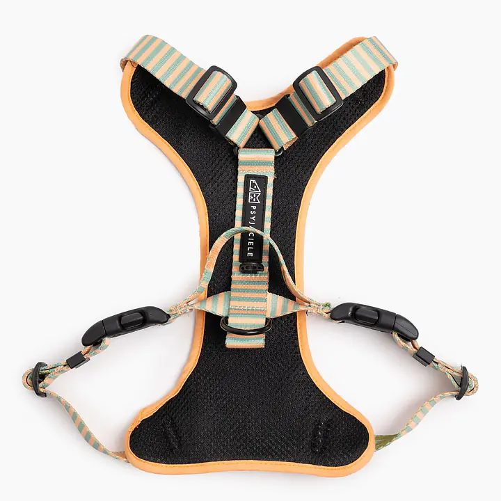 Pressures-free guard harness in size for bulldogs   - Pattern: Piesss