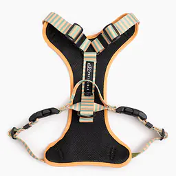 Pressures-free guard harness in size for bulldogs   - Pattern: Piesss