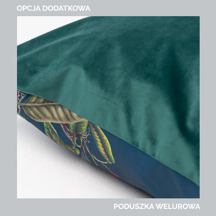 Couch "Dogollage'' - Master