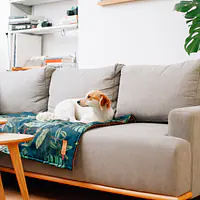 Mat "Dogollage" - Master