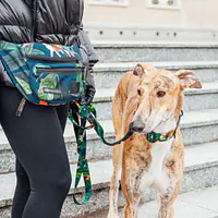 Fanny pack "Dogollage" - Master