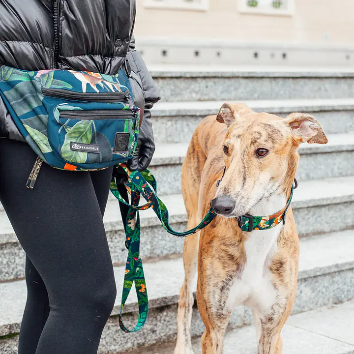 Fanny pack "Dogollage" - Master
