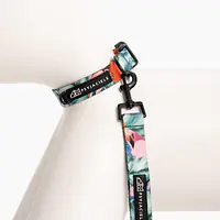 Dog or cat collar "Hen's wet dream" - Master