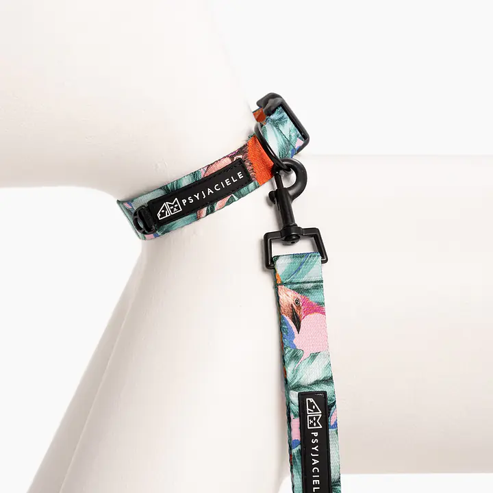 Dog or cat collar "Hen's wet dream" - Master