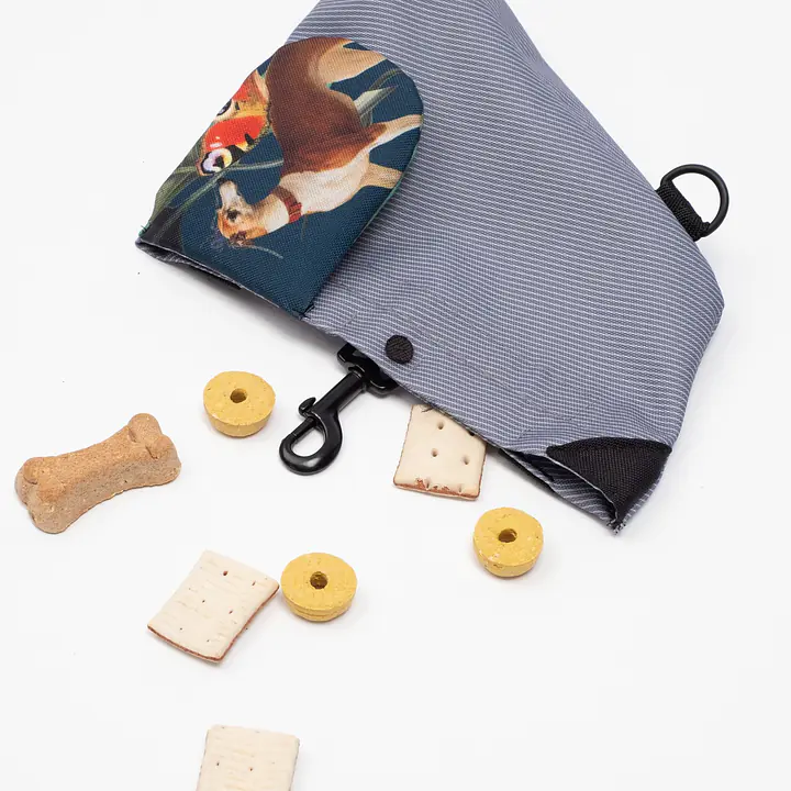 Saszetka treningowa na smaczki "Psikolaż" - Master