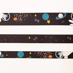Dog or cat collar "I need space" - Master