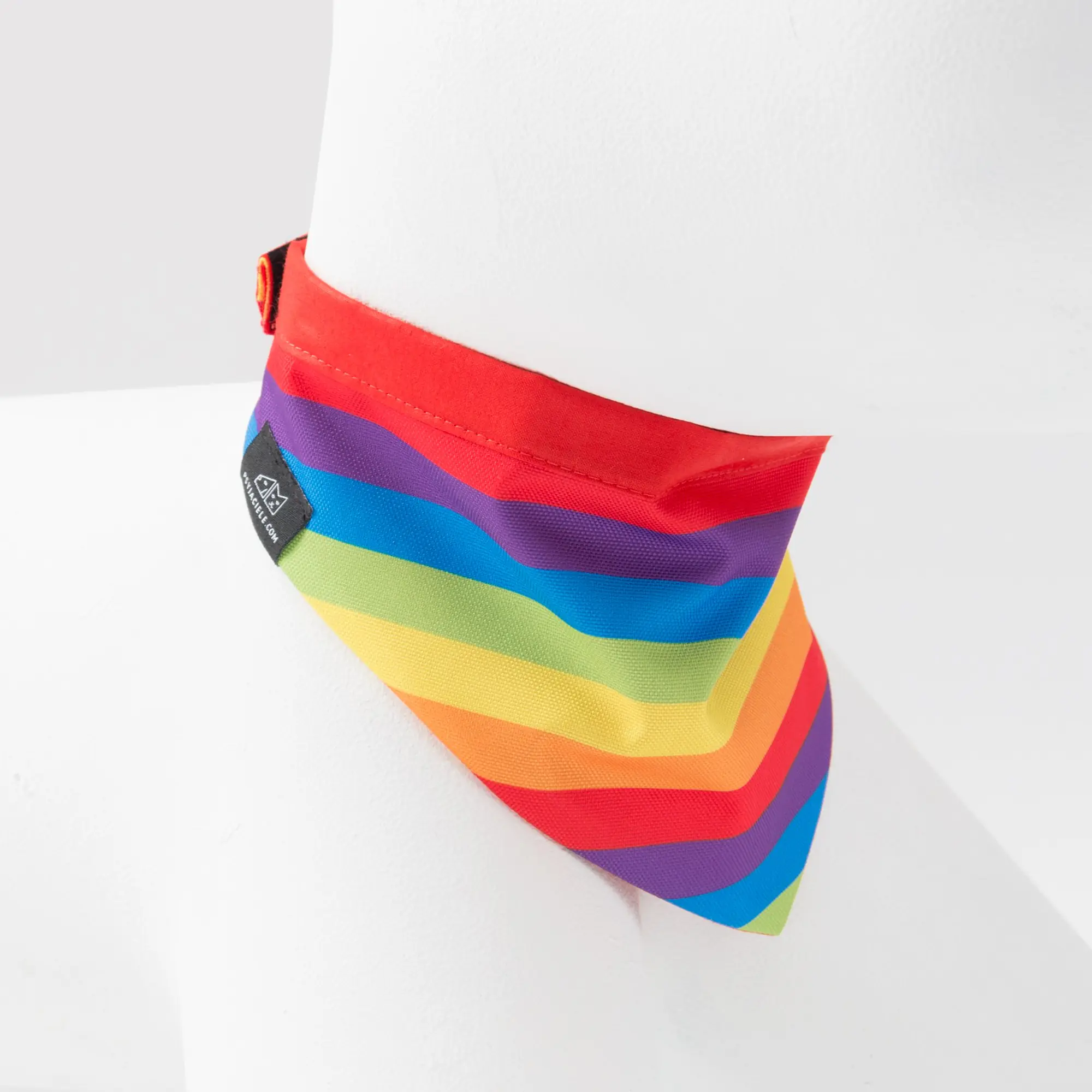 Bandana "Love, Equality, Teethers" - Master