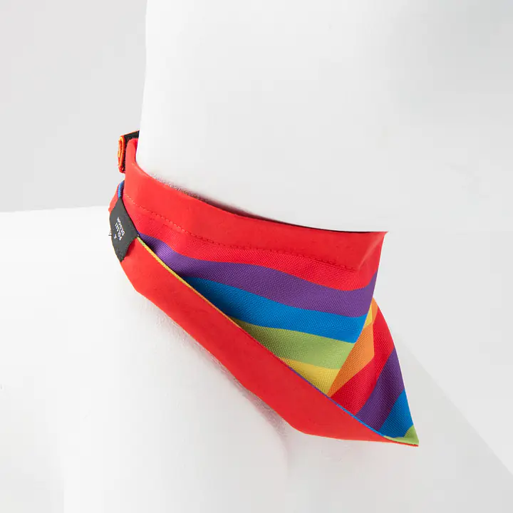 Bandana "Love, Equality, Teethers" - Master