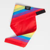 Bandana "Love, Equality, Teethers" - Master