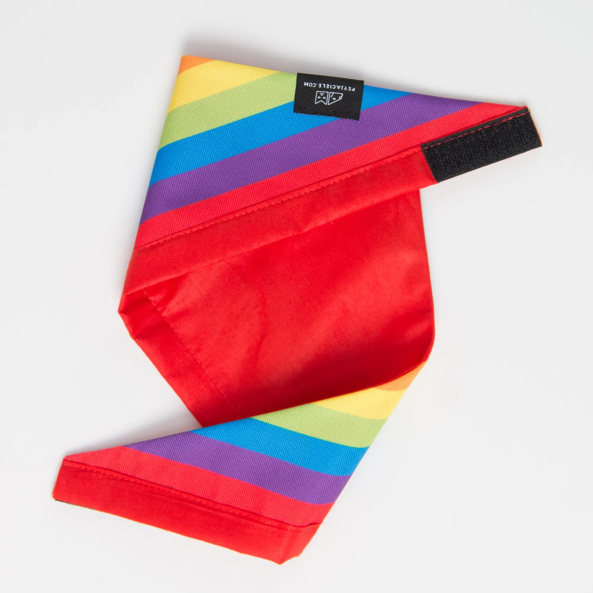 Bandana "Love, Equality, Teethers" - Master