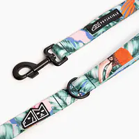 "Hen's wet dream" city leash - Master