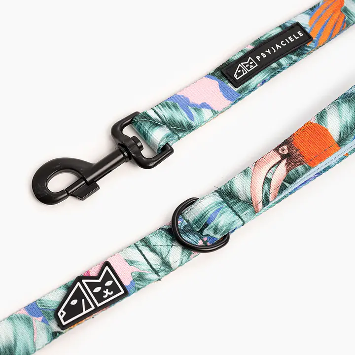 "Hen's wet dream" city leash - Master