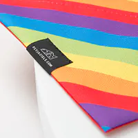 Bandana "Love, Equality, Teethers" collar - Master